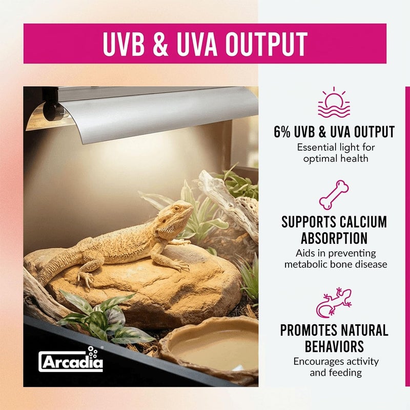 Arcadia T5 UVB Reptile Light Fixture Kit 34" Long 39 Watts 6% UVB Forest â€“ Complete UVB Light for Reptiles, Turtles, Snake, Bearded Dragon Lamp, Long Lasting Easy to Use Professional Lighting - Image 5