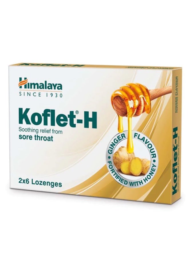 Koflet ginger 12s