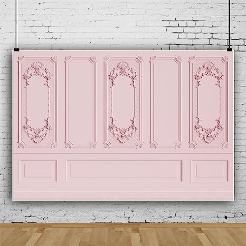 Leyiyi 6x4ft Light Pink Vintage Room Inside Backdrop European Frame Modern House French Castle Cementery Wall Retro Style Photo Background Cowboy Kids Birthday Vinyl Portrait Photo Studio Props - Image 3