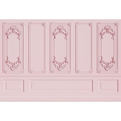 Leyiyi 6x4ft Light Pink Vintage Room Inside Backdrop European Frame Modern House French Castle Cementery Wall Retro Style Photo Background Cowboy Kids Birthday Vinyl Portrait Photo Studio Props - Image 1