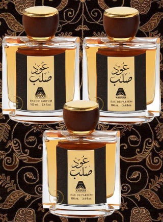 3 pieces Oud Salab Perfume by Anfar 100ml - pzsku/Z51022E2F5F7A93501BB2Z/45/_/1697569370/0ba2c6e6-2fbd-46ef-99ac-acaff554ce9d