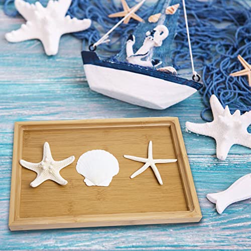 JQAQJU 3-4 Inches Large Starfish and Scallop Shells for Crafts 12PCS, Natural Beach Sea Shells for Crafting, Baking Shells Perfect for White Christmas Decor Beach Party Wedding Fishtank DIY Crafts - Image 5