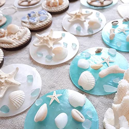 JQAQJU 3-4 Inches Large Starfish and Scallop Shells for Crafts 12PCS, Natural Beach Sea Shells for Crafting, Baking Shells Perfect for White Christmas Decor Beach Party Wedding Fishtank DIY Crafts - Image 2