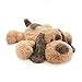 WEIGEDU Floppy Stuffed Dog Puppy Plush Toy Huggable Beagle Labrador Retriever Stuffed Animal Dogs for Kids Girls Boys Baby Birthday Gift 20 inch Brown - Image 4
