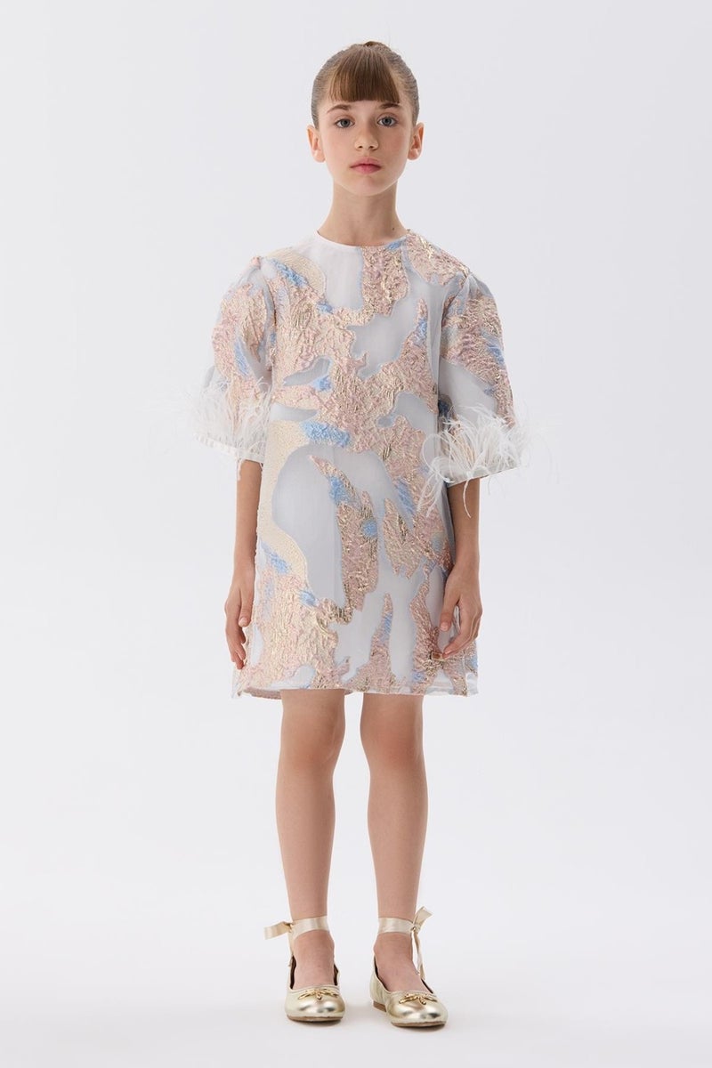 TYESS Feathered Sleeve Dress - Image 1