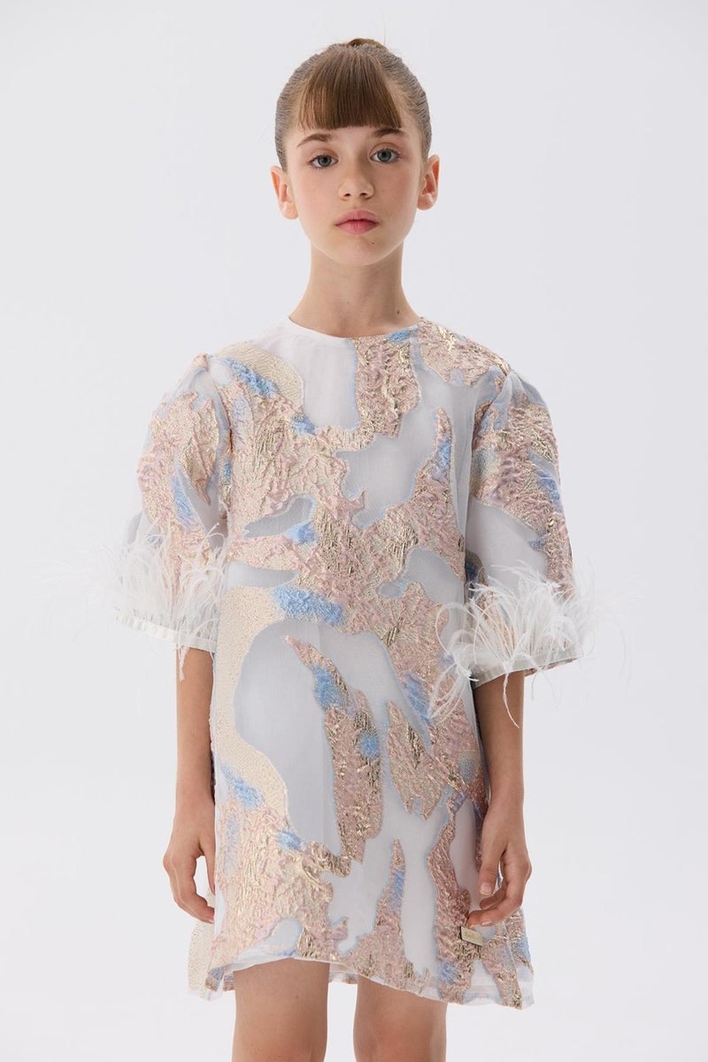 TYESS Feathered Sleeve Dress - Image 2