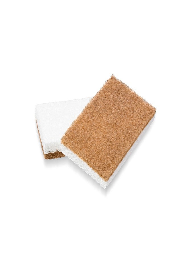 Full Circle In a Nutshell Walnut Scrubber Sponges, Non-Scratch, Set of 2 (Pack of 6) - Image 1