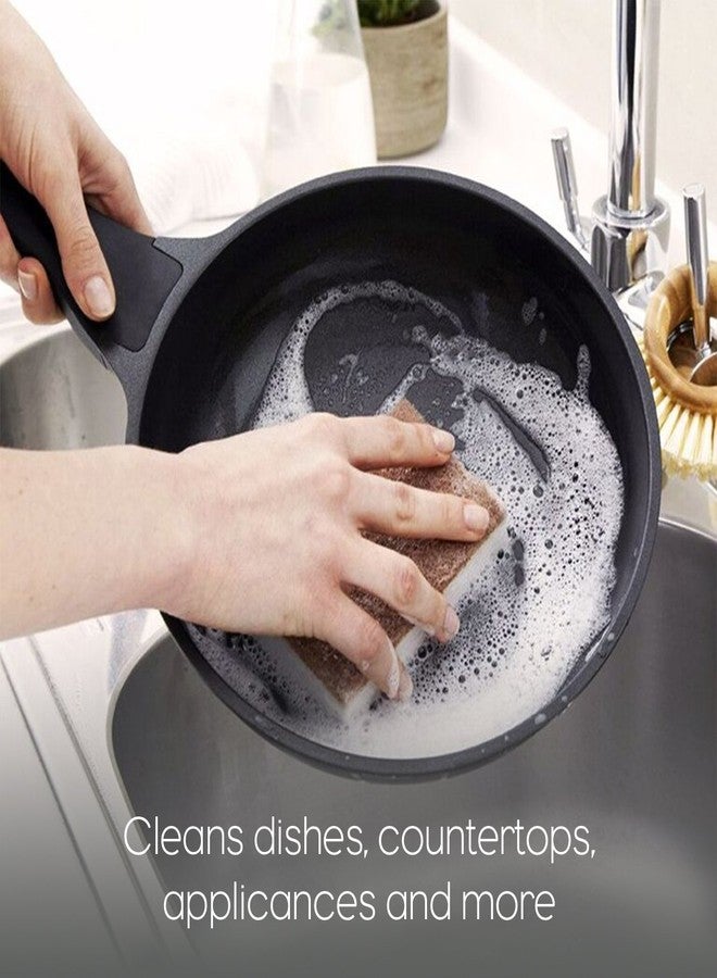 Full Circle In a Nutshell Walnut Scrubber Sponges, Non-Scratch, Set of 2 (Pack of 6) - Image 5