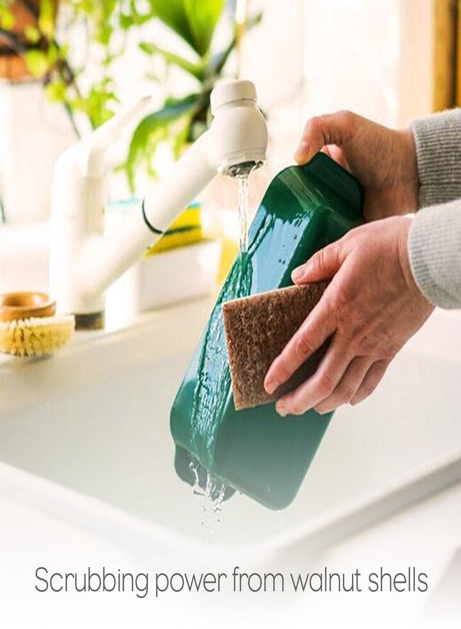 Full Circle In a Nutshell Walnut Scrubber Sponges, Non-Scratch, Set of 2 (Pack of 6) - Image 4