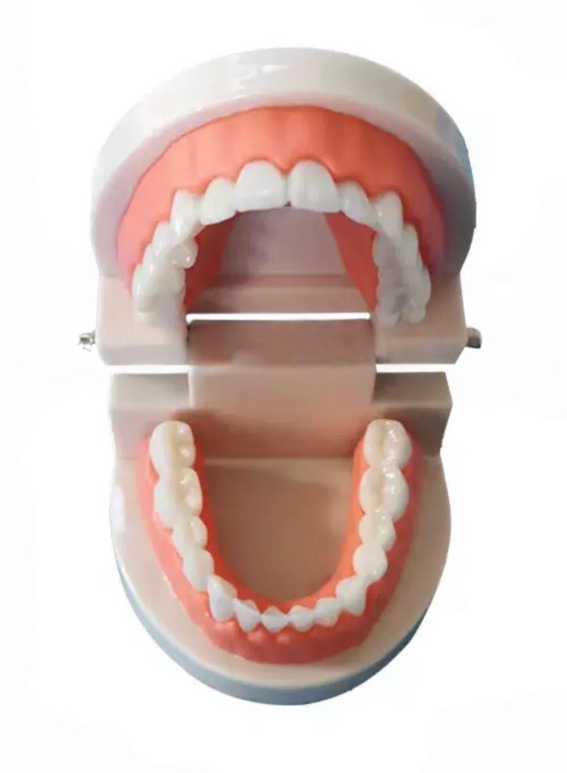 النموذج الشفهي القياسي