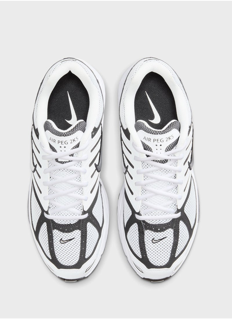 Nike - Air Pegasus 2005 C/O - Image 1