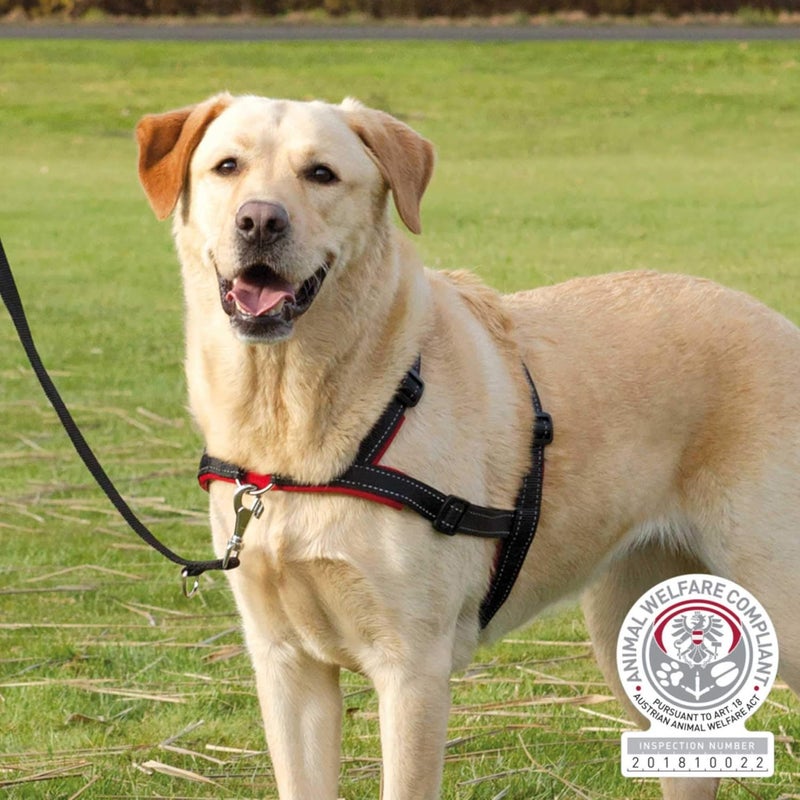 Trixie Lead n Walk Soft Training Harness for Dogs - Image 2