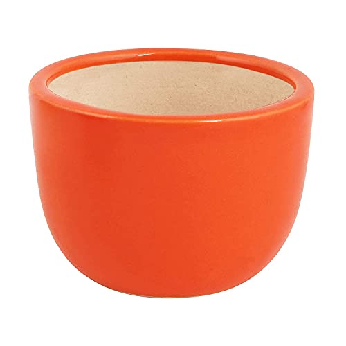Leafy Tales Urn Ceramic Pot, Multicolour, 3 Inch, 3 Pots, Urn Set 3 (Urn Set 3) - Image 4