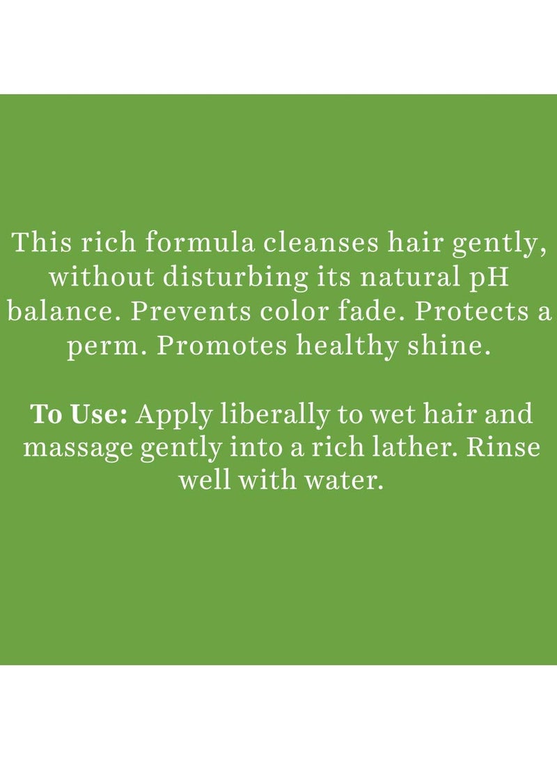 بيوتيك شامبو بروتين الصويا يصلح الشعر الجاف التالف ويوازن درجة الحموضة ويمنع بهتان اللون 340 مل - Image 3