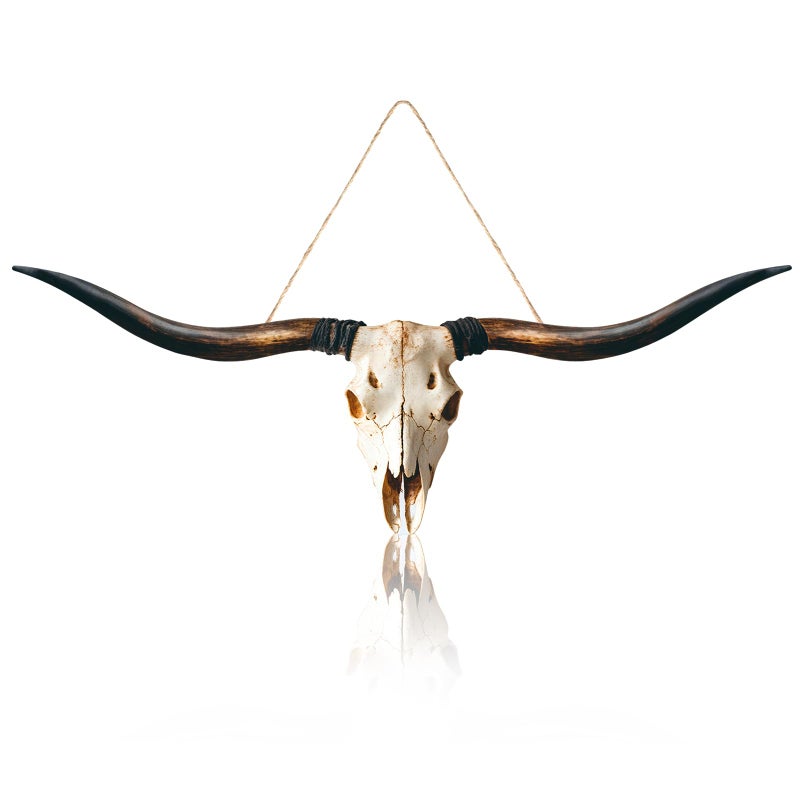 GlikCeil Flat Printed Longhorn Skull Wall Decor Wooden Longhorn Cow Door Sign Large Farmhouse Printed Pendant Decor Realistic Style Wooden Cow for Holiday Front Door Porch Wall - Image 2