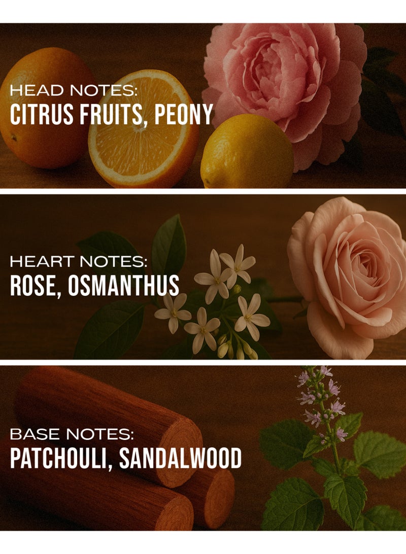 Federico Mahora Pure Royal 298 - Inspired by G.U.C.C.I  F.L.O.R.A - Image 2