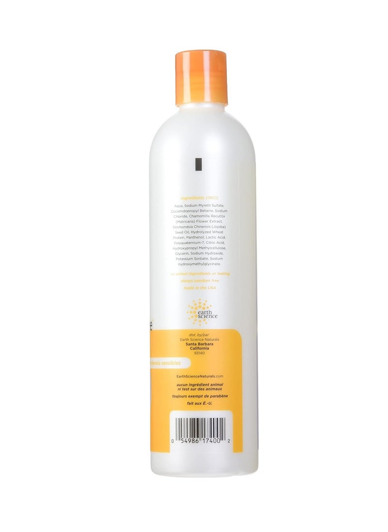 Earth Science Fragrance Free Shampoo, 12-Ounce Bottles (Pack of 3)