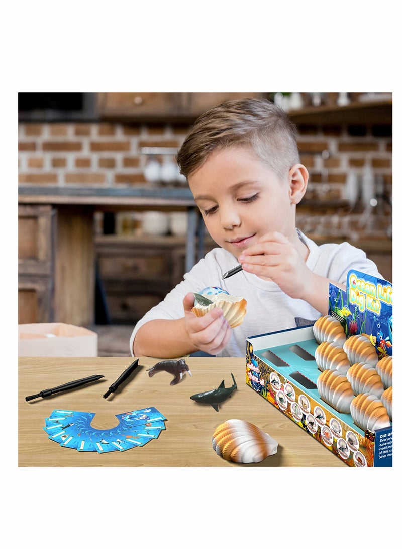 KASTWAVE Archaeological excavation toys 12 Different Fossil/Eggs with 12 Excavation Kits， Excavation Educational Science Gifts for Kids Party Archaeology Paleontology Toy (Ocean fossils) - Image 2