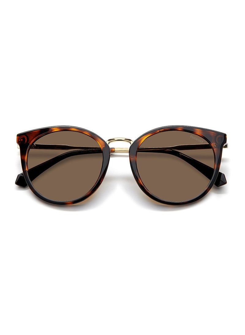 Polaroid - Women's UV Protection Cat Eye Sunglasses - Pld 4146/S/X Hvn 53 - Lens Size: 53 Mm - Image 1