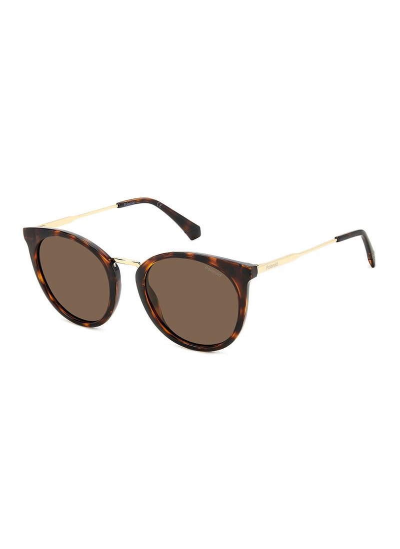 Polaroid - Women's UV Protection Cat Eye Sunglasses - Pld 4146/S/X Hvn 53 - Lens Size: 53 Mm - Image 1