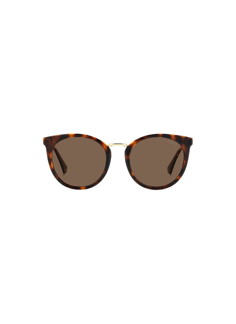 Polaroid - Women's UV Protection Cat Eye Sunglasses - Pld 4146/S/X Hvn 53 - Lens Size: 53 Mm - Image 1