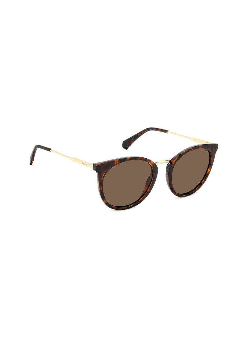 Polaroid - Women's UV Protection Cat Eye Sunglasses - Pld 4146/S/X Hvn 53 - Lens Size: 53 Mm - Image 1