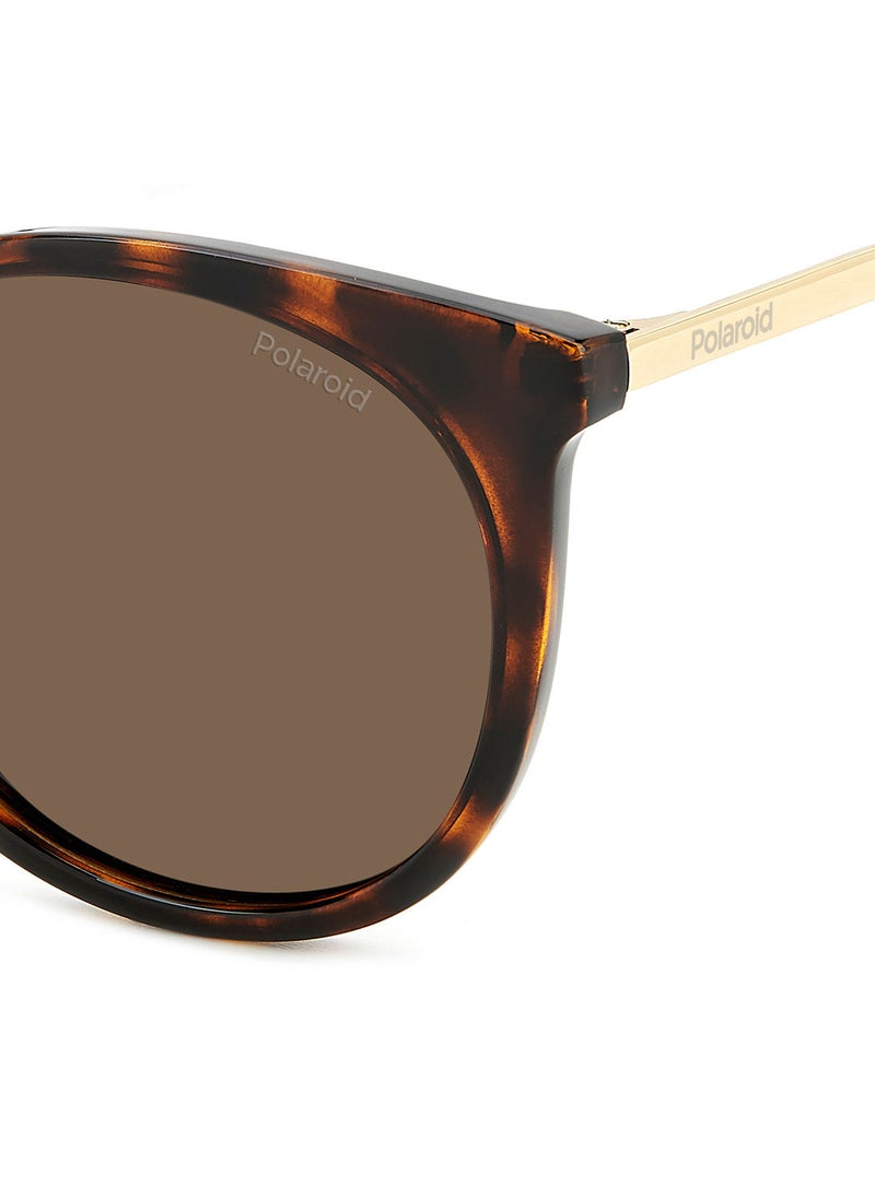Polaroid - Women's UV Protection Cat Eye Sunglasses - Pld 4146/S/X Hvn 53 - Lens Size: 53 Mm - Image 1