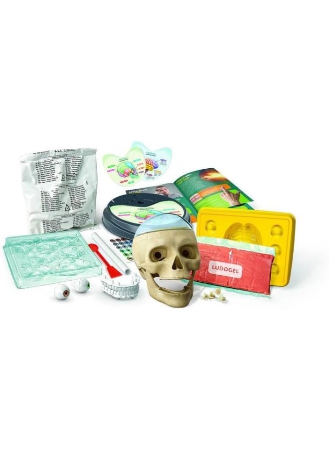 Clementoni - Anatomy lab game - Image 1