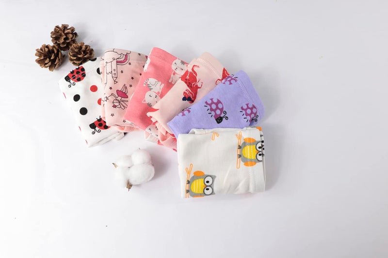 Winging Day Packs of 6 Little Girls Panties Underwear Assorted Styles Size 5 - Image 3