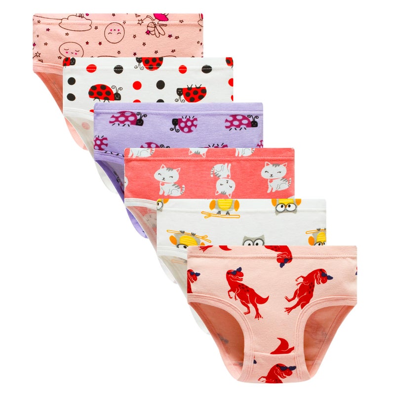 Winging Day Packs of 6 Little Girls Panties Underwear Assorted Styles Size 5 - Image 2
