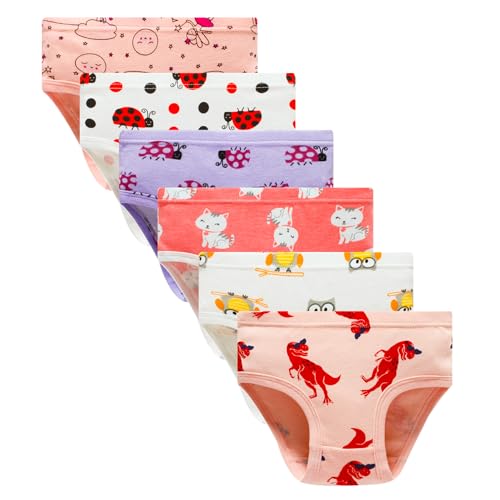 Winging Day Packs of 6 Little Girls Panties Underwear Assorted Styles Size 5 - Image 1