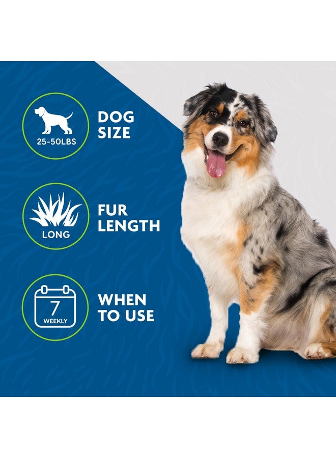 FURminator Ultimate Dog deShedding Bundle - Image 2