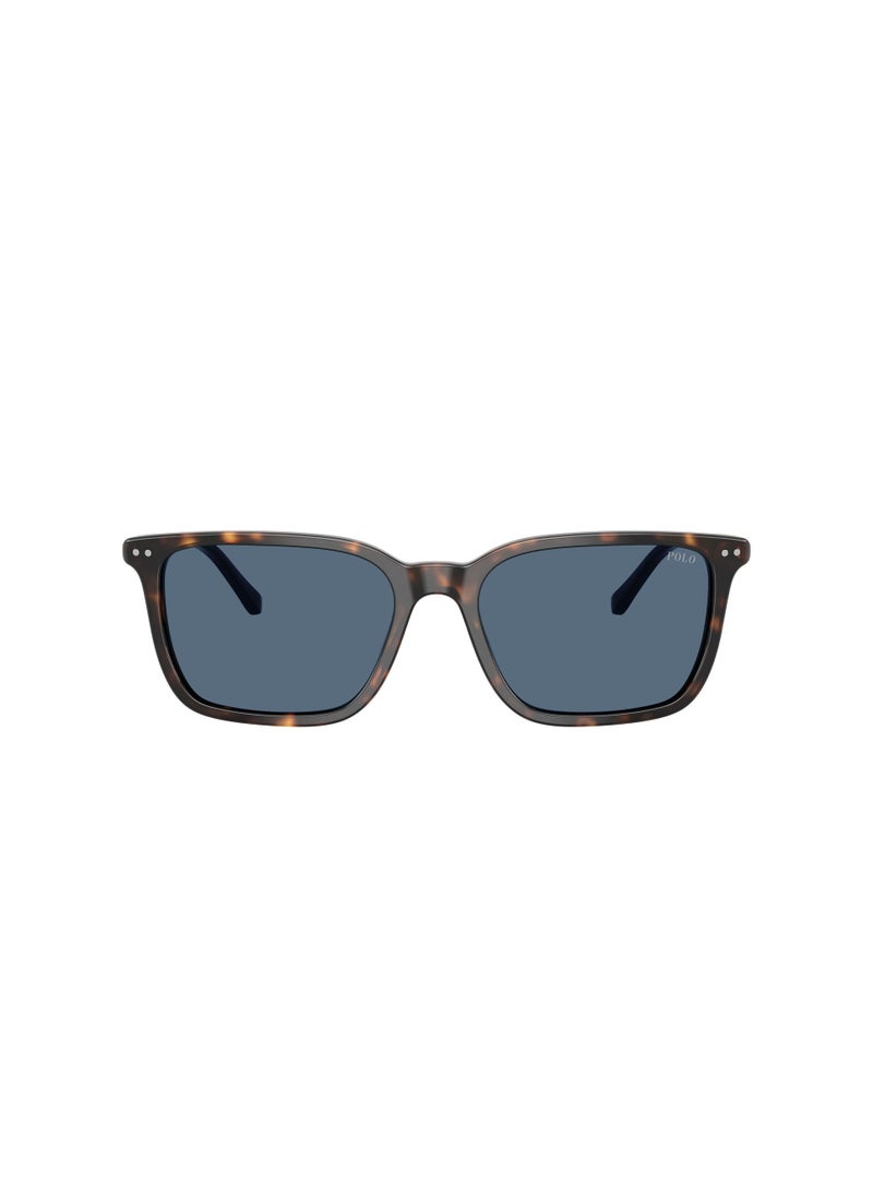 POLO RALPH LAUREN - 0Ph4226 Pillow Sunglasses - Image 1