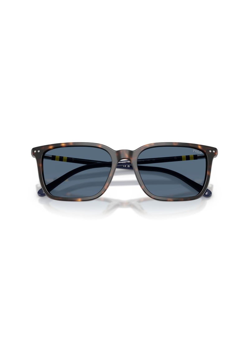 POLO RALPH LAUREN - 0Ph4226 Pillow Sunglasses - Image 1