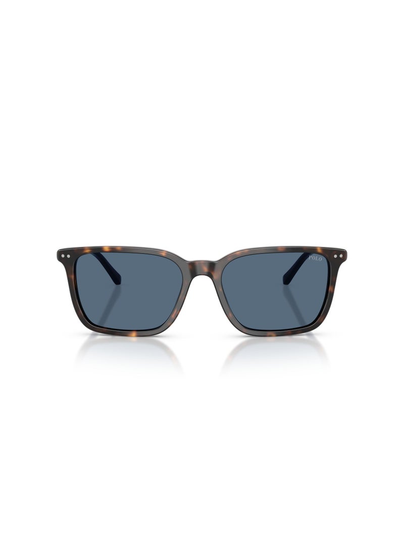 POLO RALPH LAUREN - 0Ph4226 Pillow Sunglasses - Image 1