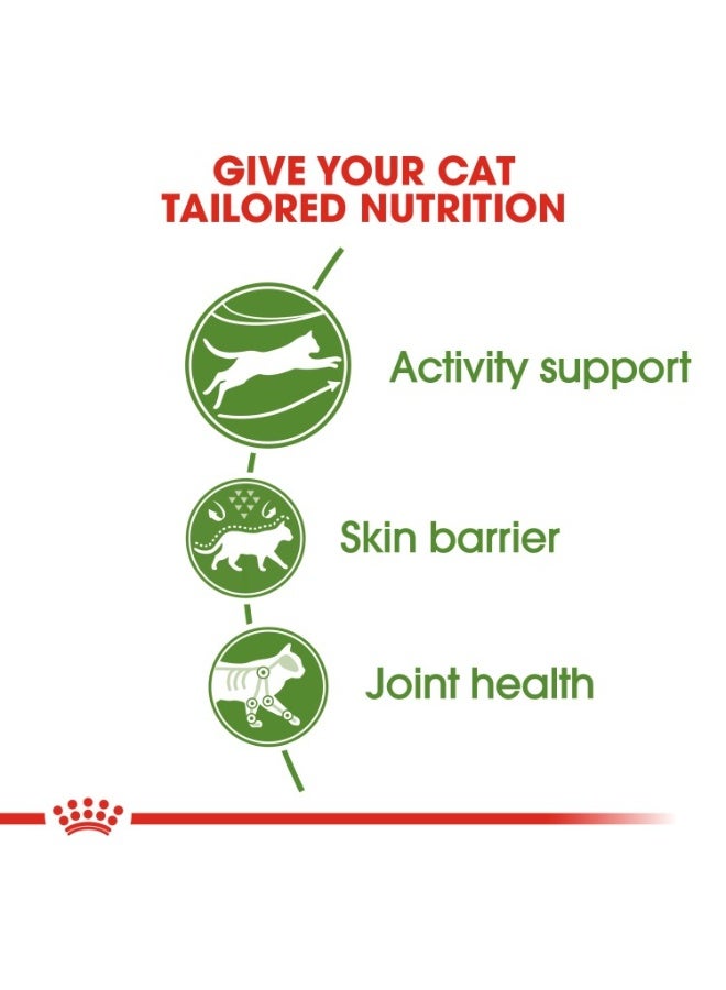 رويال كانين تغذية صحية للقطط في الهواء الطلق 2 كجم - Image 4