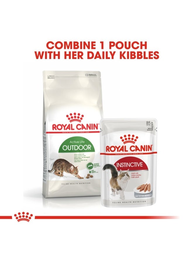 رويال كانين تغذية صحية للقطط في الهواء الطلق 2 كجم - Image 2