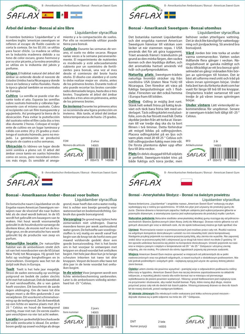 GGOOT Garden in The Bag - Bonsai - American Sweet Gum - 100 Seeds - Liquidamber styraciflua - Image 4