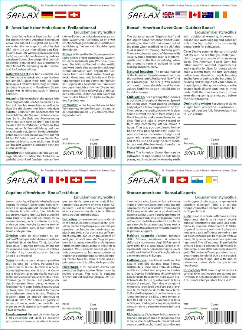 GGOOT Garden in The Bag - Bonsai - American Sweet Gum - 100 Seeds - Liquidamber styraciflua - Image 3