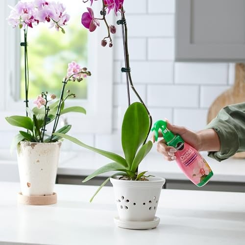 Miracle-Gro Orchid Care Bundle, Includes Potting Mix and Plant Food Mist, For Indoor and Outdoor Container Orchids - Image 3