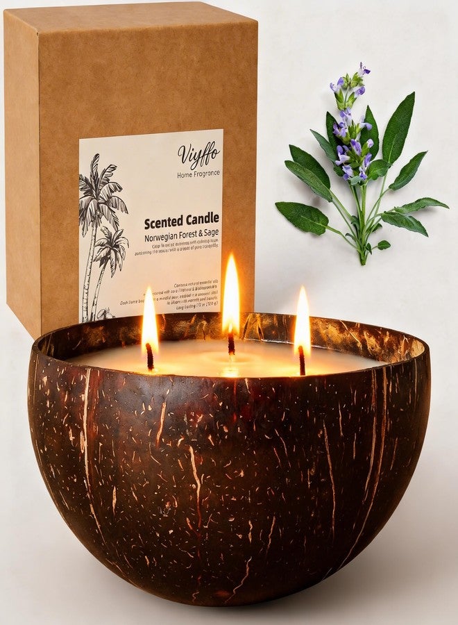 Viyffo Large Non Toxic Soy Candle - Spring Forest & Sage, 18oz 3 Wick Scented Candle for Women & Men, Natural Coconut Shell Jar Perfect for Home Decor & Unique Nature Gift - Image 1