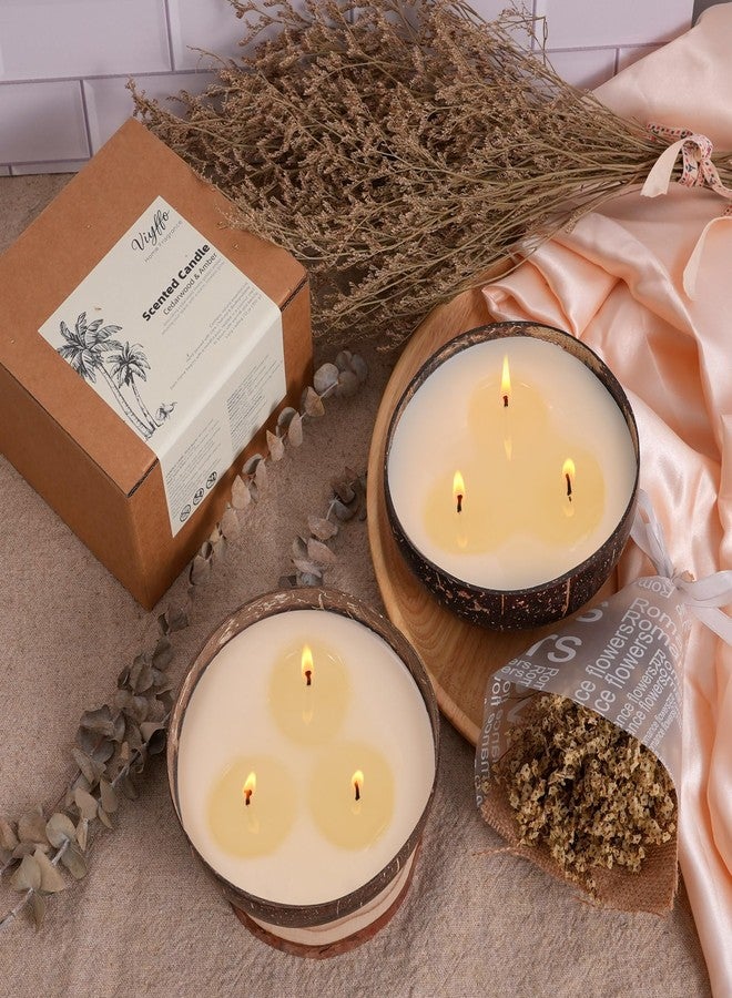 Viyffo Large Non Toxic Soy Candle - Spring Forest & Sage, 18oz 3 Wick Scented Candle for Women & Men, Natural Coconut Shell Jar Perfect for Home Decor & Unique Nature Gift - Image 2