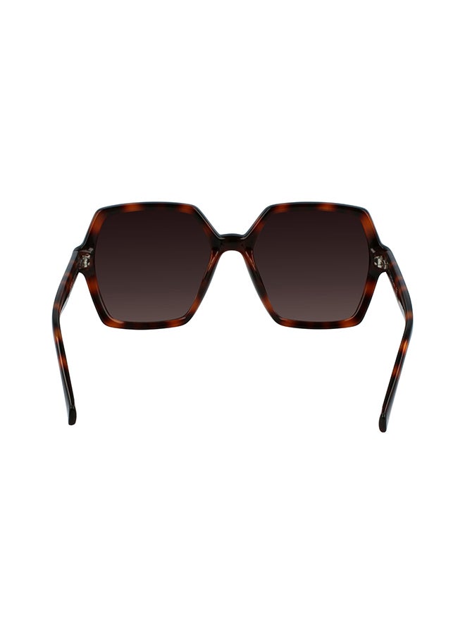 Calvin Klein Jeans Full Rim Injected Calvin Klein Jeans Sun Ckj21629S N 5518 (240) Tortoise - Image 3