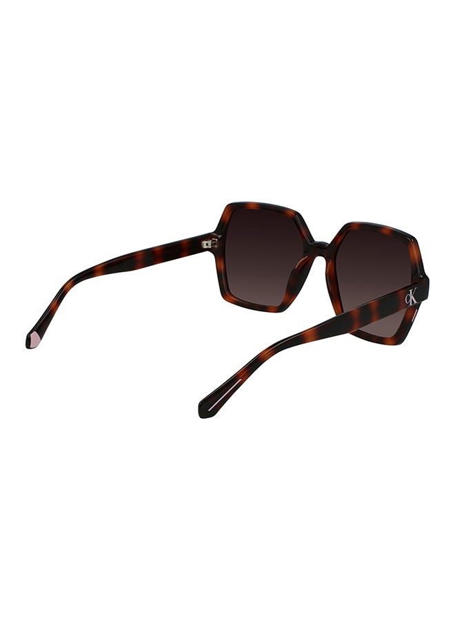 Calvin Klein Jeans Full Rim Injected Calvin Klein Jeans Sun Ckj21629S N 5518 (240) Tortoise - Image 4