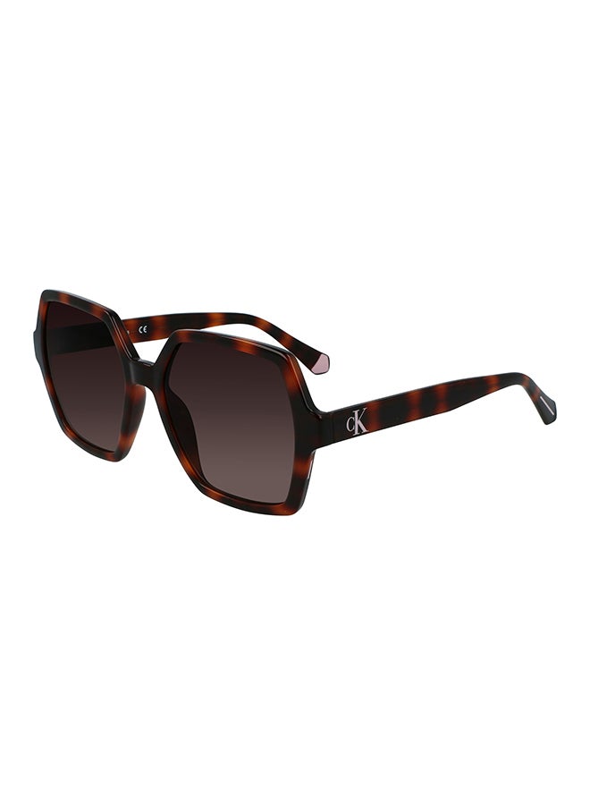 Calvin Klein Jeans Full Rim Injected Calvin Klein Jeans Sun Ckj21629S N 5518 (240) Tortoise - Image 1