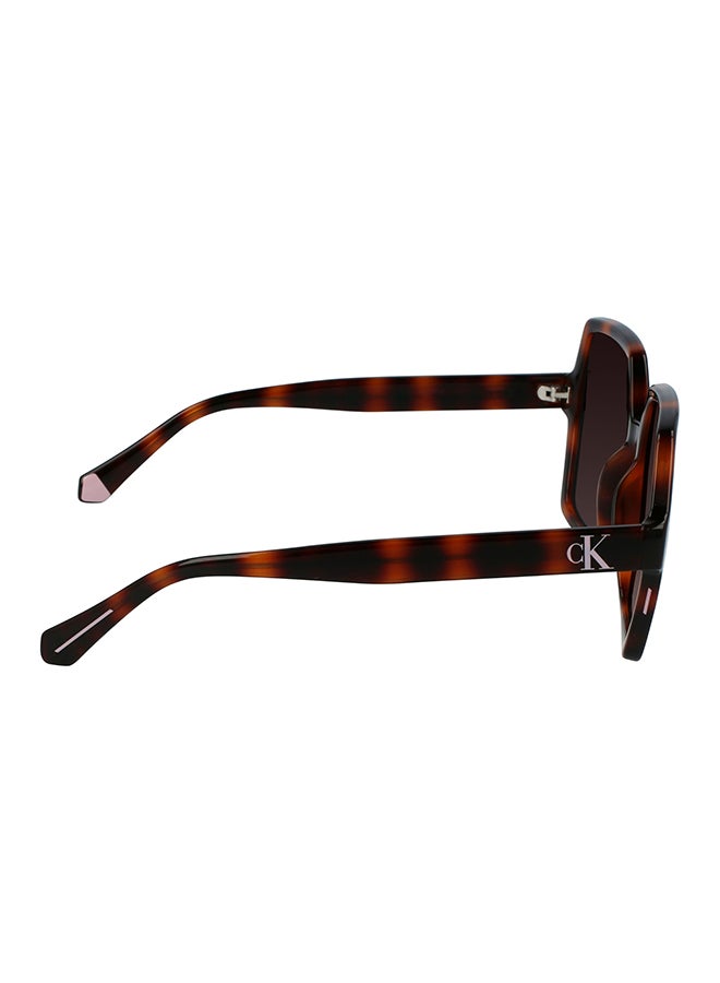 Calvin Klein Jeans Full Rim Injected Calvin Klein Jeans Sun Ckj21629S N 5518 (240) Tortoise - Image 5
