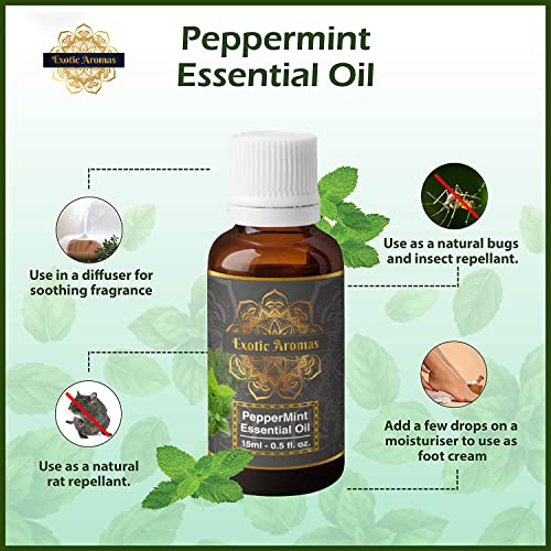 Exotic Aromas Peppermint Essential Oil for Aroma Therapy, Hair & Skin (15Ml + 15Ml) Pack of 2 - Image 3