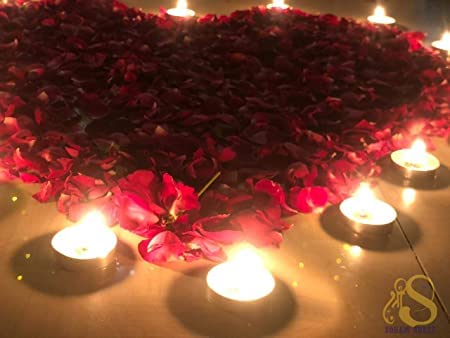 SOHAM SHREE ᵀᴹ Party |Romantic Dinner | Birthday | Anniversary | Valentia Special Cabana Theme Tent Decoration Item Full Combo | Baloons - Lightings - T Lights - Banner - Tent - Image 2
