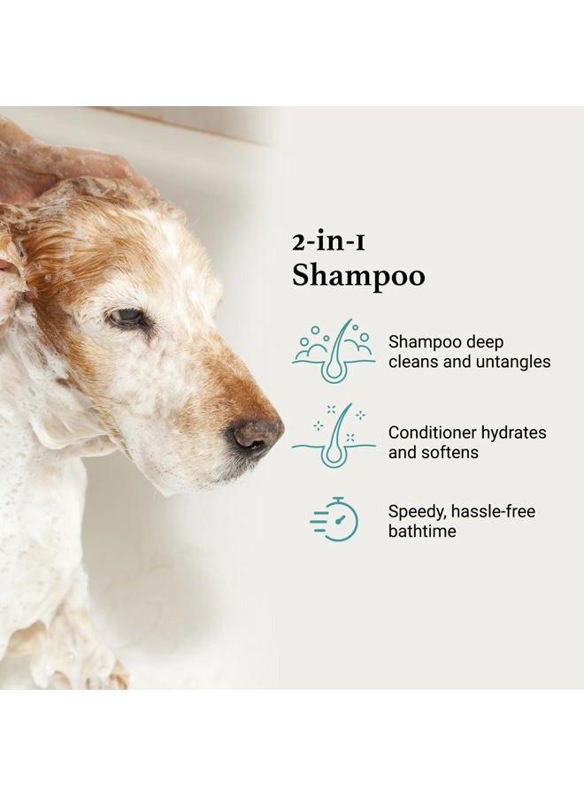 iGroom All-in-One Dog Shampoo + Conditioner, Luxury Pet Beauty Care, Deep Clean All Coat Types, Hydrate and Condition Coat, Made in The USA, 16 oz - Image 3
