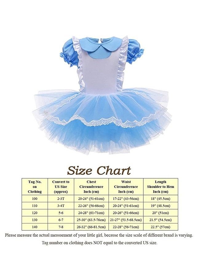 ISank Ballet Leotards Tutu Dress for Toddler Girls Ballerina Outfits Dance Costume Dancewear with Tulle Skirt  - Image 5